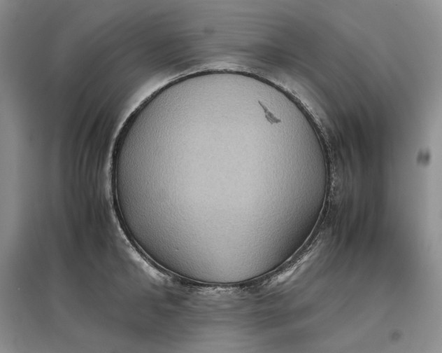 X0000097600902200803141914