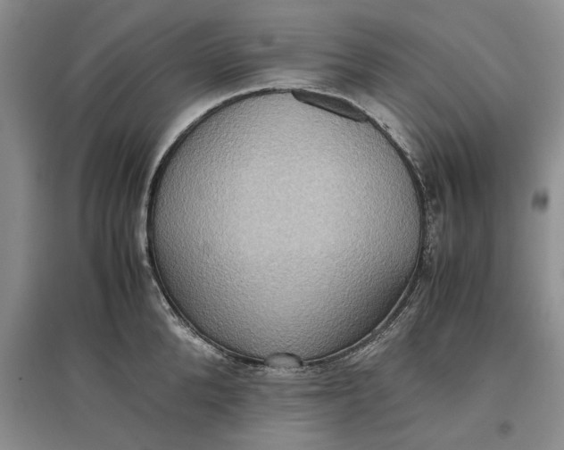X0000097600904200803141914