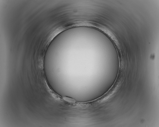 X0000097600905200803141914
