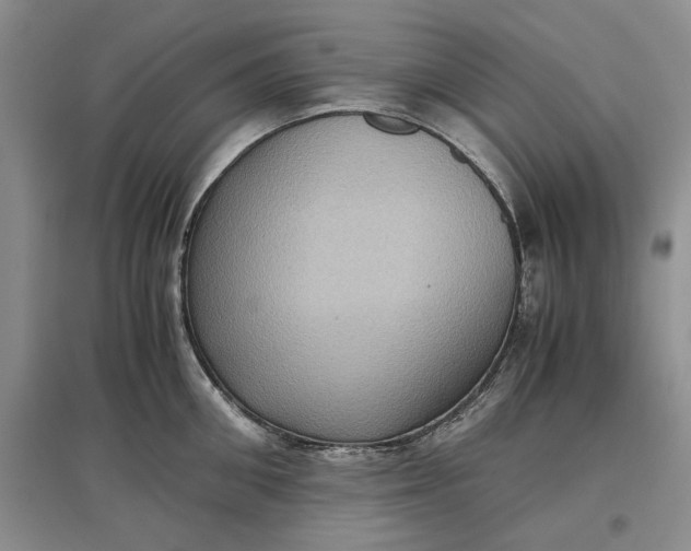 X0000097600906200803141914