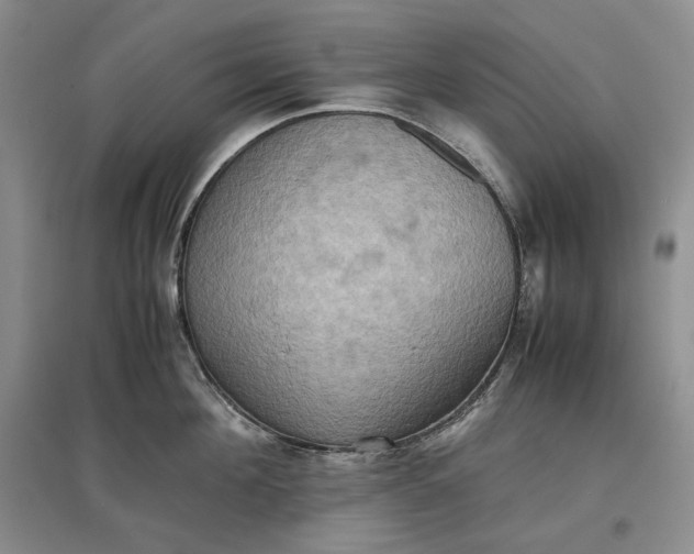 X0000097600908200803141914