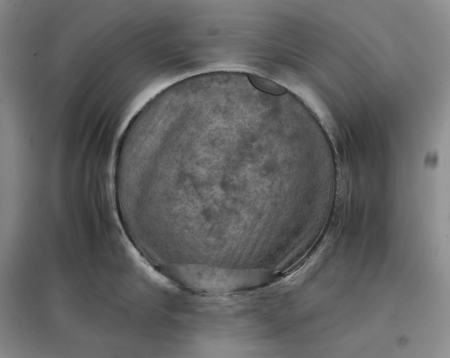 X0000097600910200803141914