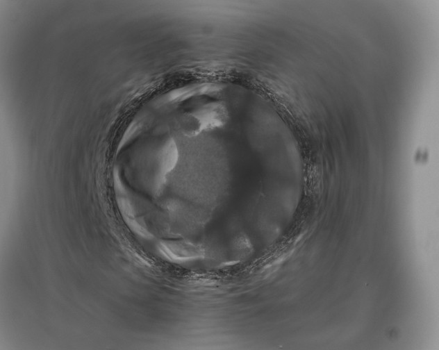 X0000097600913200803141913