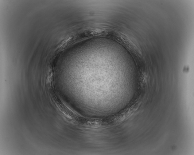 X0000097600914200803141913