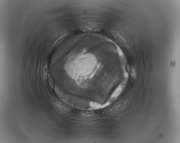 X0000097600915200803141913