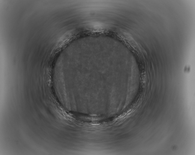 X0000097600916200803141913