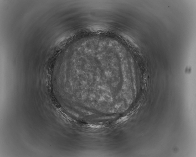 X0000097600917200803141913