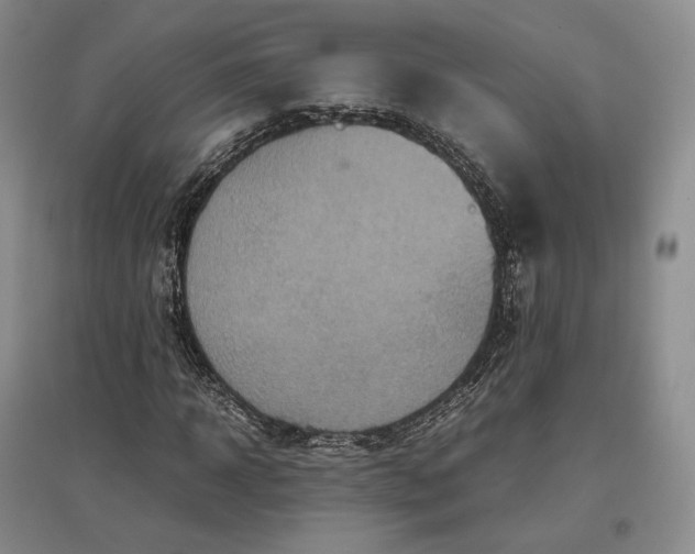 X0000097600918200803141913