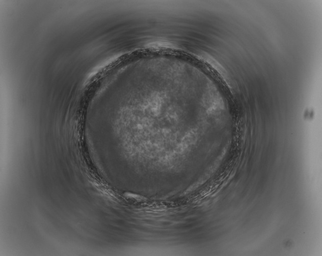 X0000097600919200803141913