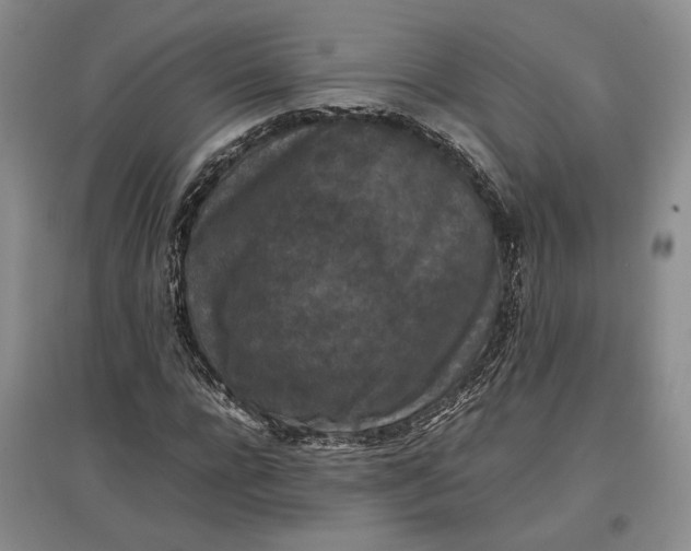 X0000097600920200803141913