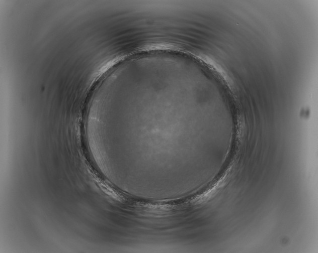 X0000097600921200803141913