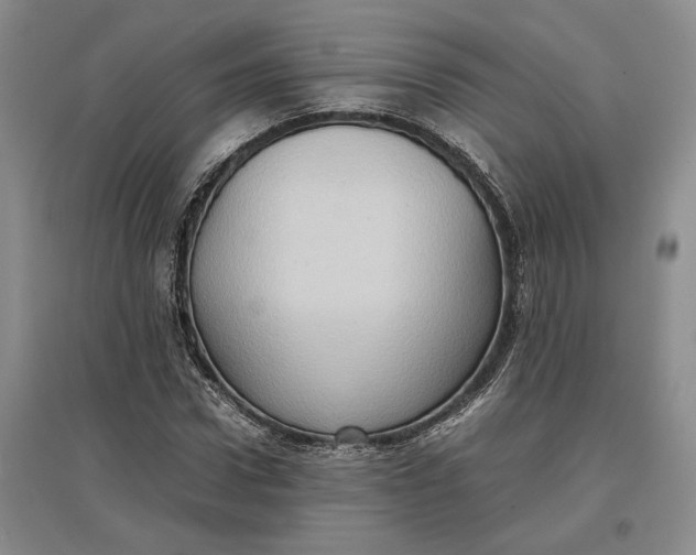 X0000097600922200803141913