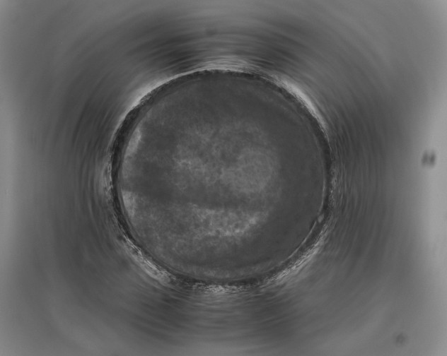 X0000097600923200803141913