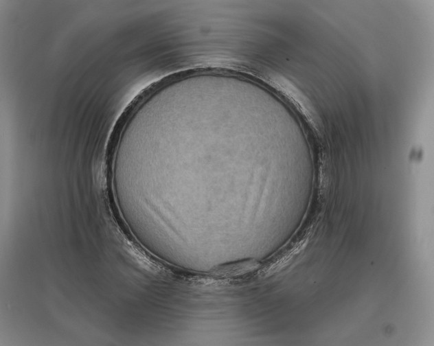 X0000097600924200803141913