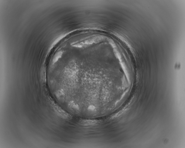 X0000097600925200803141913