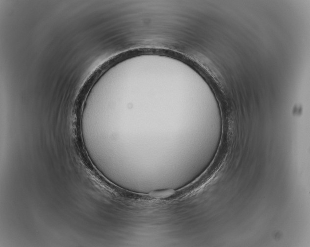 X0000097600926200803141913