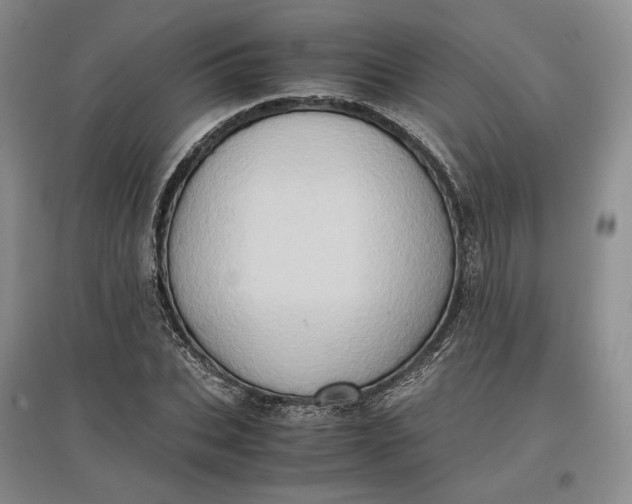 X0000097600927200803141913