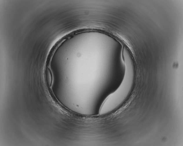 X0000097600928200803141913