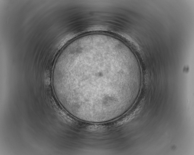 X0000097600929200803141913