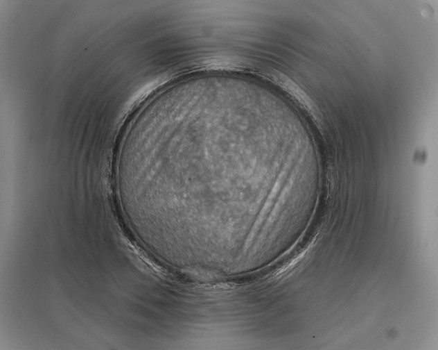 X0000097600930200803141913