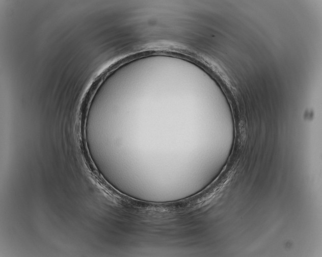 X0000097600931200803141913