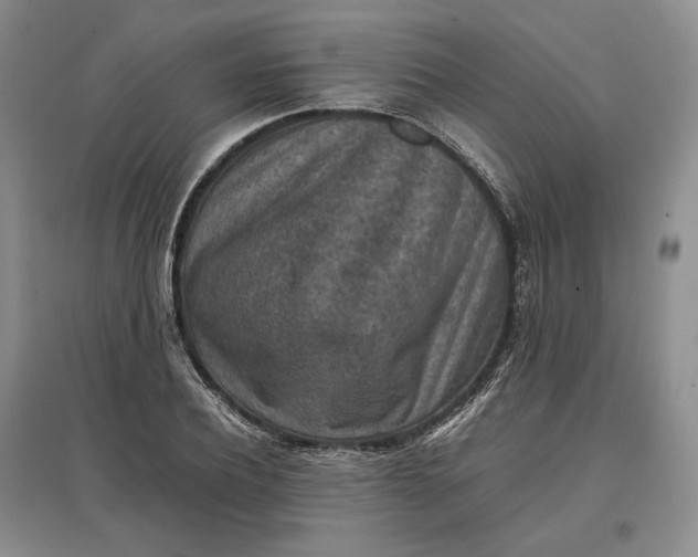 X0000097600932200803141913