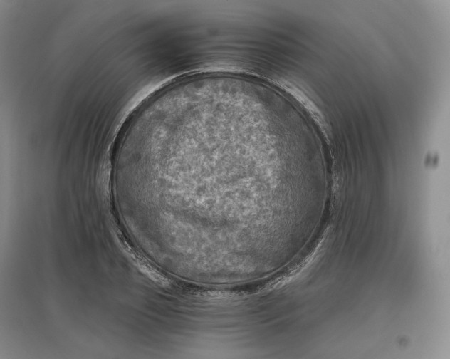 X0000097600933200803141913