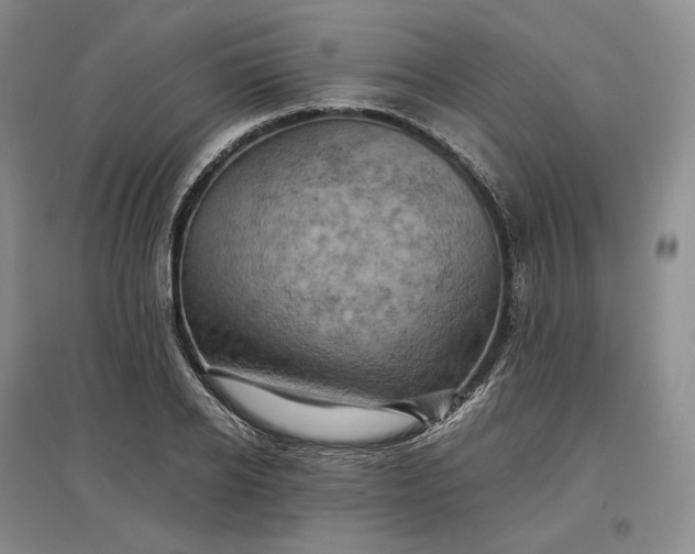 X0000097600934200803141913