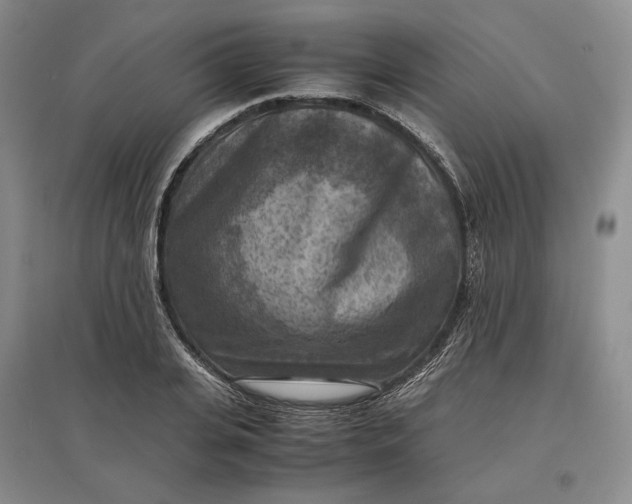 X0000097600935200803141913