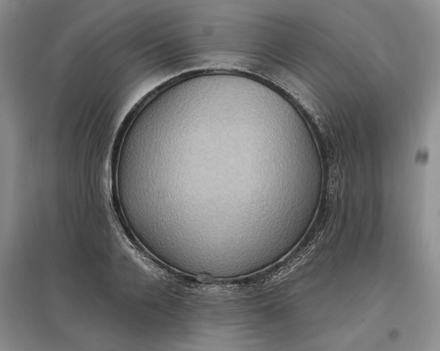 X0000097600936200803141913