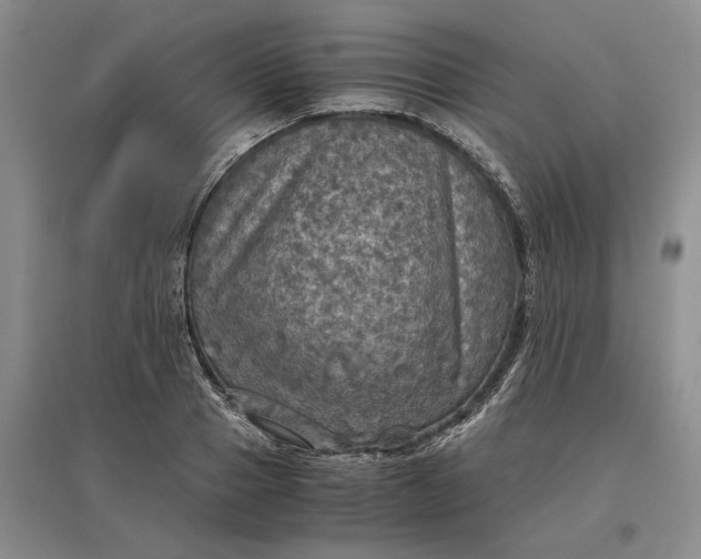 X0000097600937200803141913