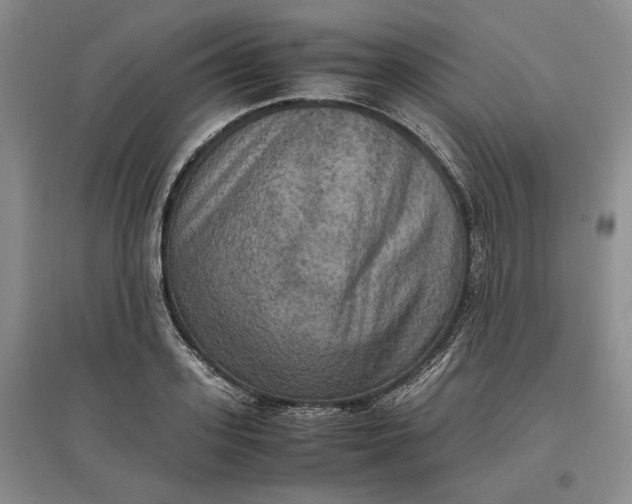 X0000097600939200803141914