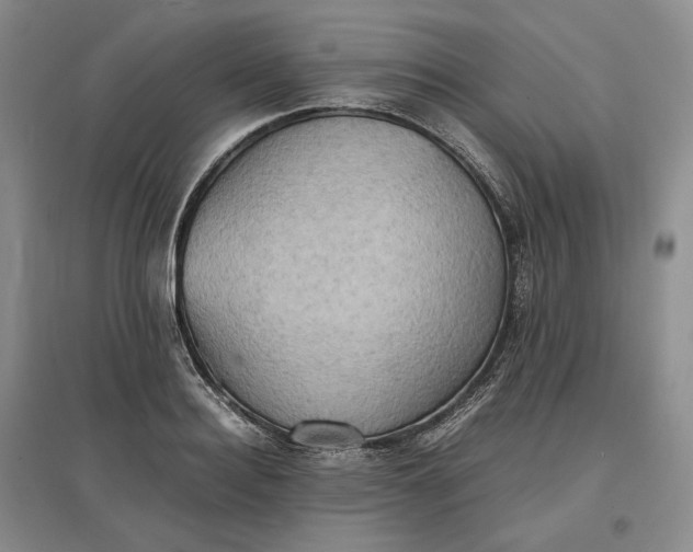X0000097600940200803141914