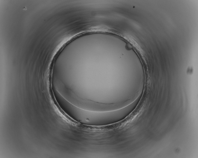 X0000097600941200803141914