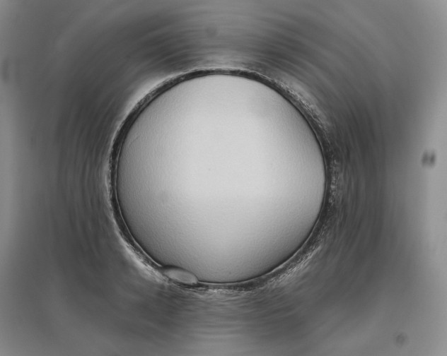 X0000097600942200803141914