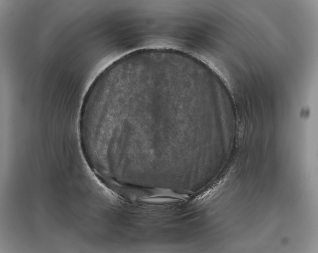 X0000097600943200803141914