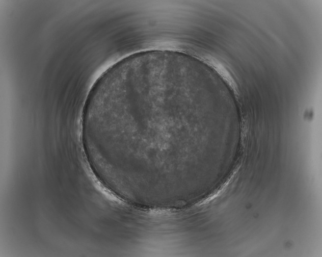 X0000097600944200803141914