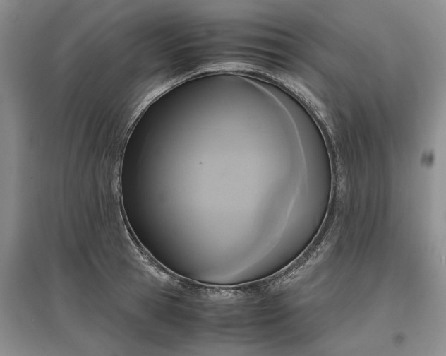 X0000097600945200803141914