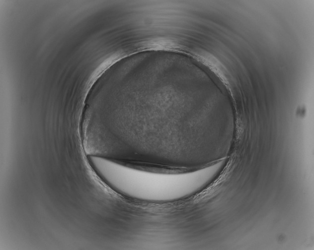 X0000097600946200803141914