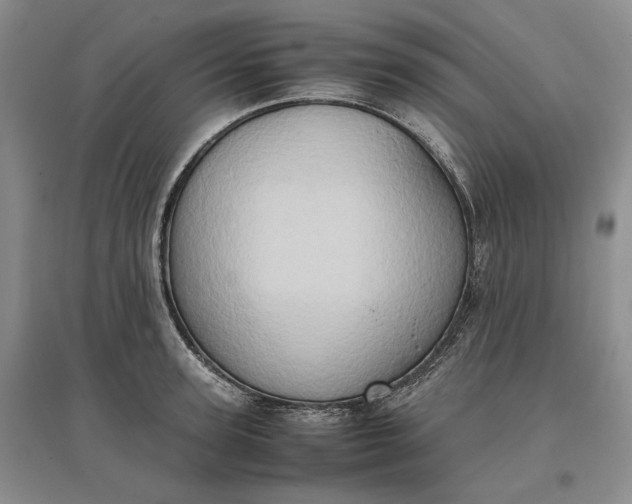 X0000097600947200803141914
