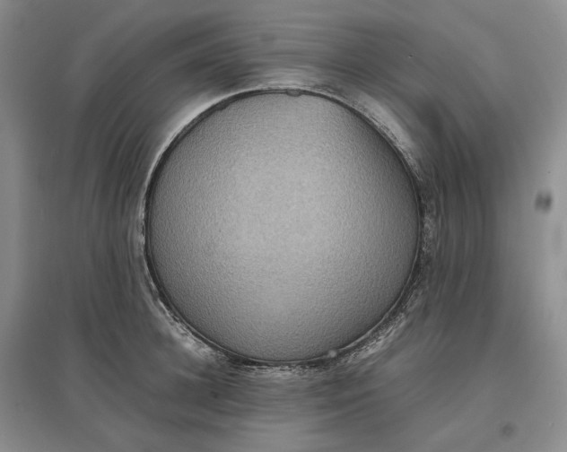 X0000097600948200803141914