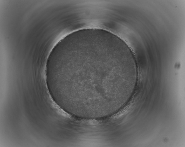 X0000097600950200803141914