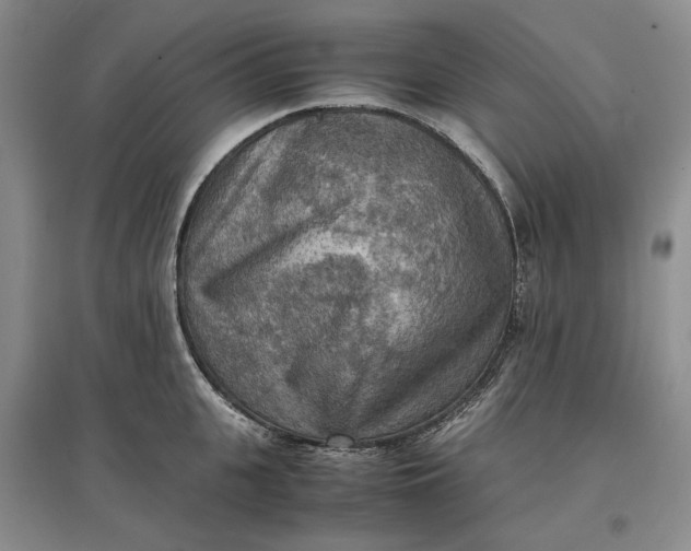 X0000097600951200803141914