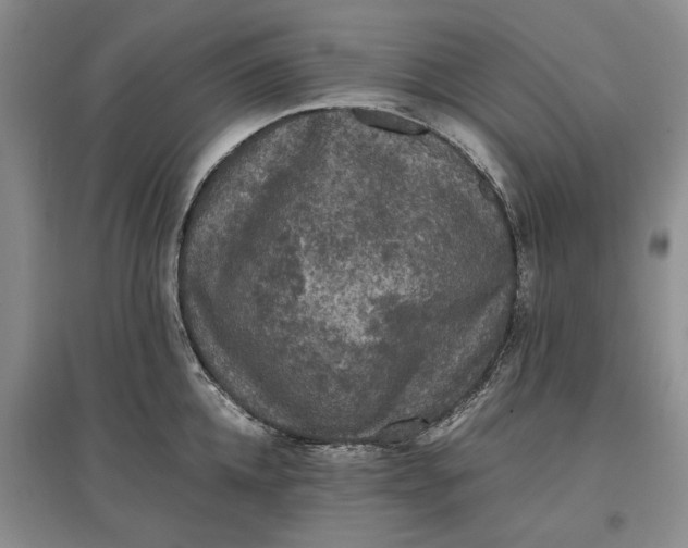 X0000097600952200803141914
