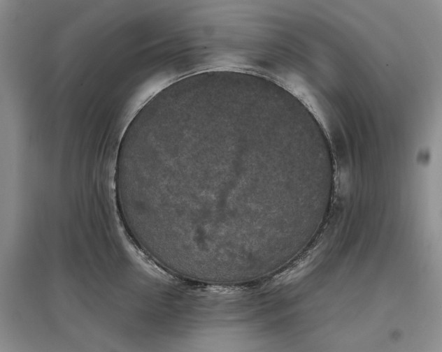 X0000097600954200803141914