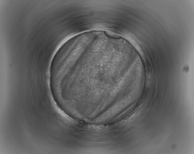 X0000097600955200803141914
