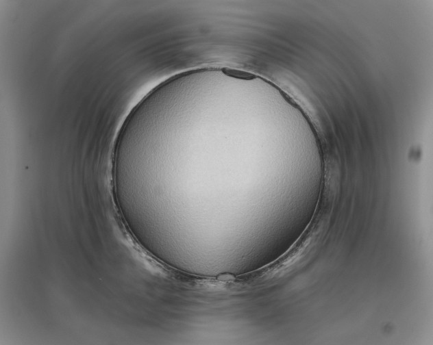 X0000097600956200803141914