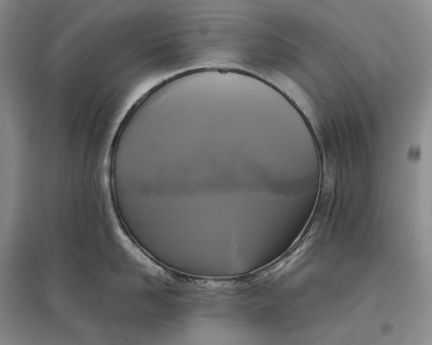 X0000097600958200803141914