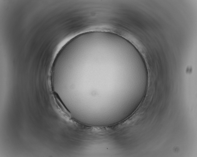 X0000097600960200803141914