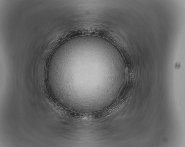 X0000097600961200803141913